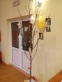 /album/detajly/a558759-3029256972085-1145603382-n-jpg/